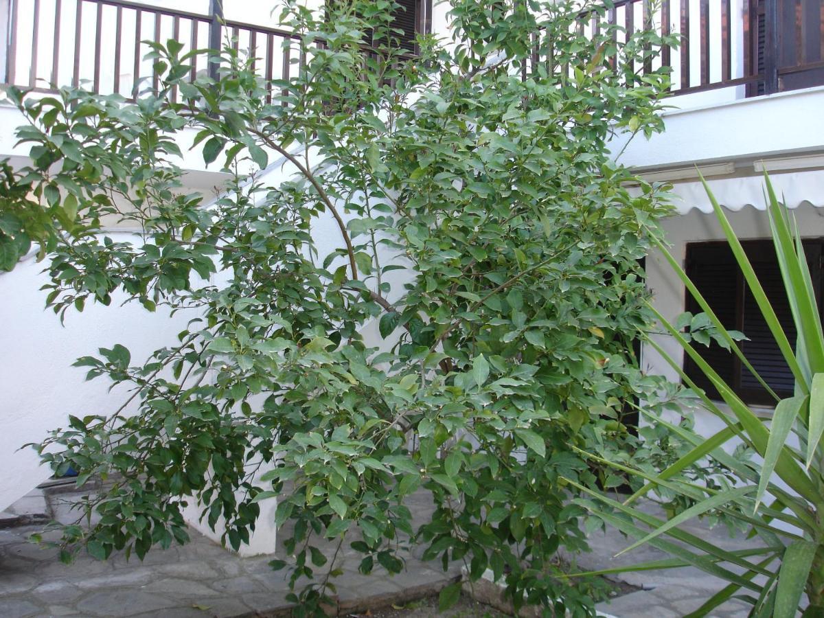 Dionysus-Mihanicus Иериссос Экстерьер фото